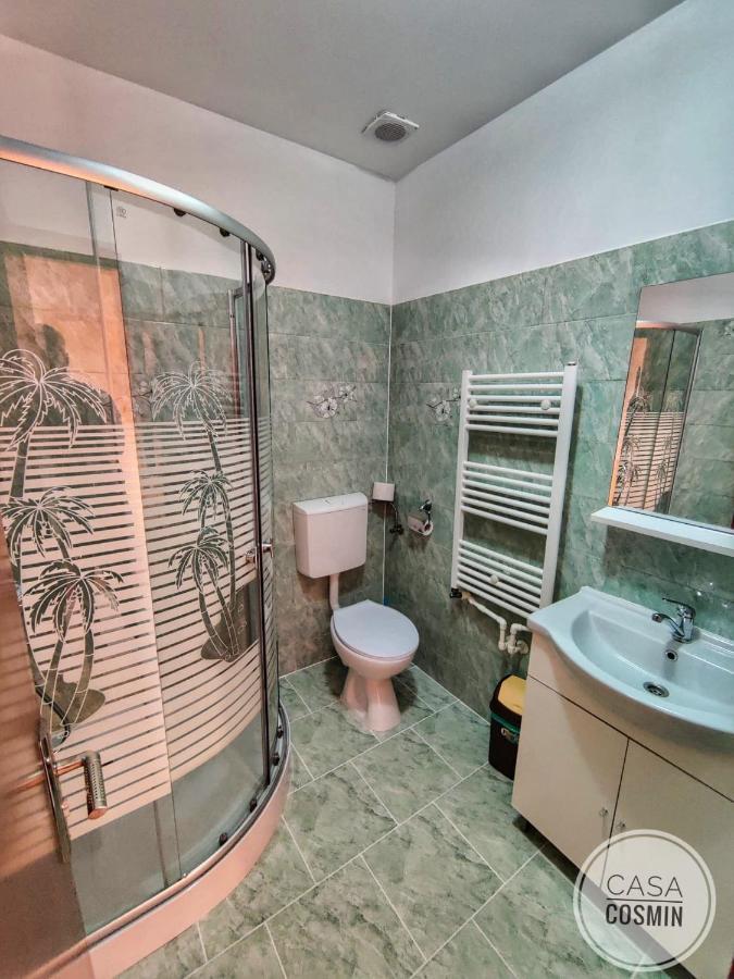 Casa Cosmin Cincu Hotel Екстериор снимка