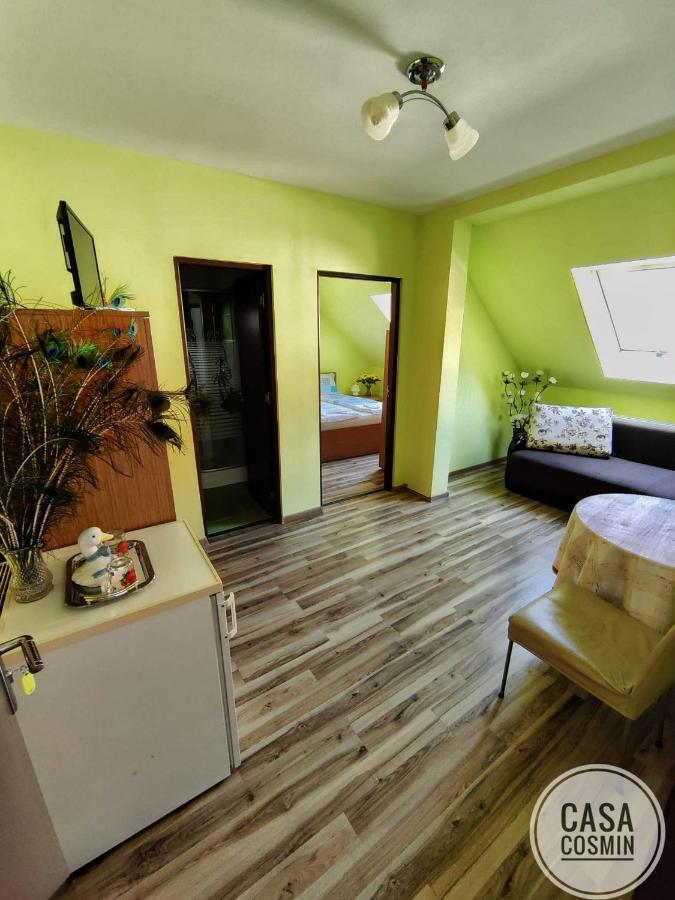 Casa Cosmin Cincu Hotel Екстериор снимка