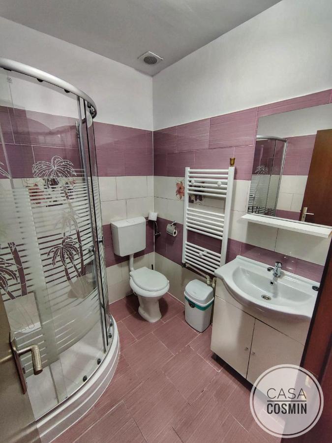 Casa Cosmin Cincu Hotel Екстериор снимка